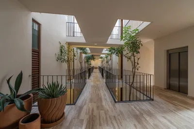 Walkway with skylight and plants at Bacab Tulum