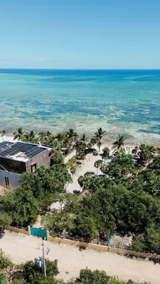 Aerial view of palm tree-lined beach and white sand along the Tulum coastline
