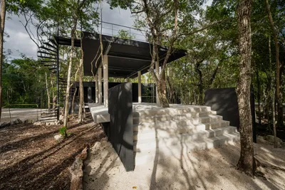 Concrete walkway and entrance to Tree60 villa with natural materials and jungle integration in Tulum