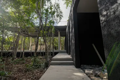 Forest pathway leading to the entry of a Tree60 off-grid luxury villa surrounded by tropical vegetation