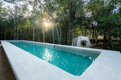 Jungle pool at sunset with tropical canopy views at Tree60 sustainable luxury residence in Tulum