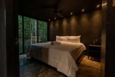 Minimalist bedroom with floor-to-ceiling glass and panoramic jungle views at Tree60 off-grid villa in Tulum